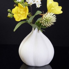 Garlic Vase - White Porcelain Vase   222783567483